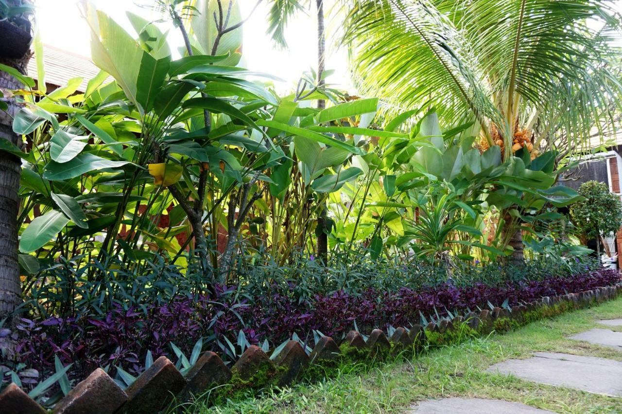 Homestay Louto Dmell & Sanur (Bali)